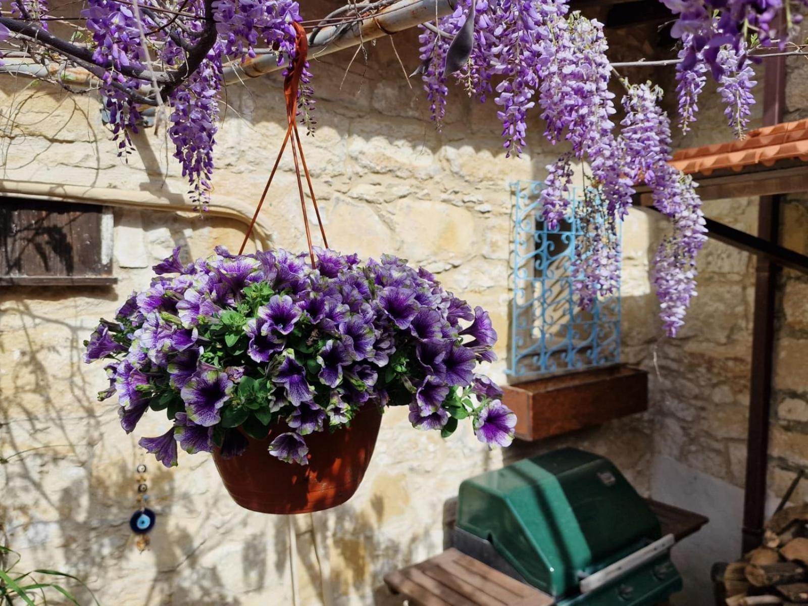Appartement Kalimera A Lovely 1-bedroom With Ensuite And Kitchen